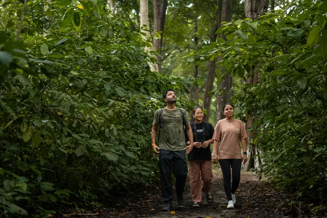Three guests walking the Forest Trek trail on Havelock Island
