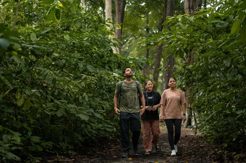Guests walking the Forest Trek