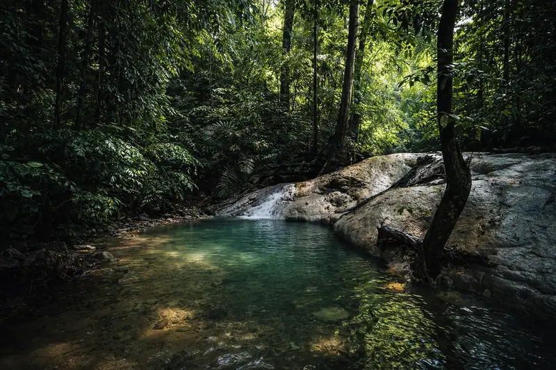 A hidden freshwater pool and small waterfall in the forest, Havelock Island