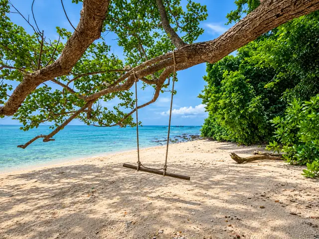 A rope swing hanging from a tree over a secluded beach, Havelock Island
