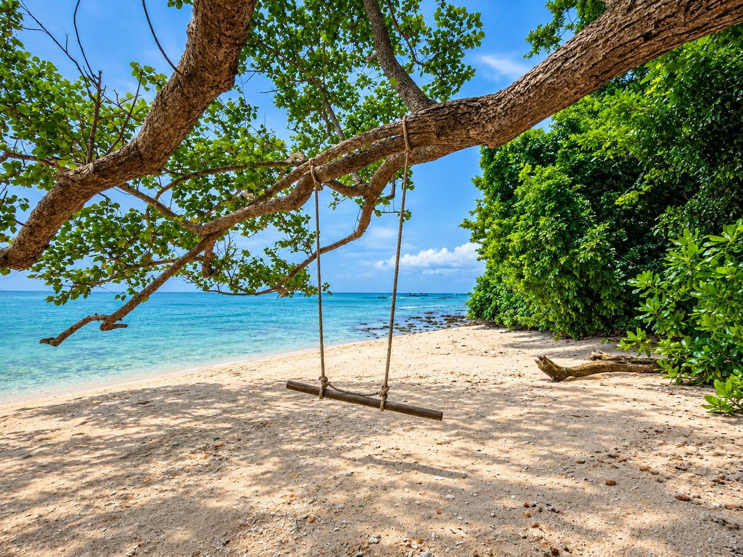 A rope swing hanging from a tree over a secluded beach, Havelock Island